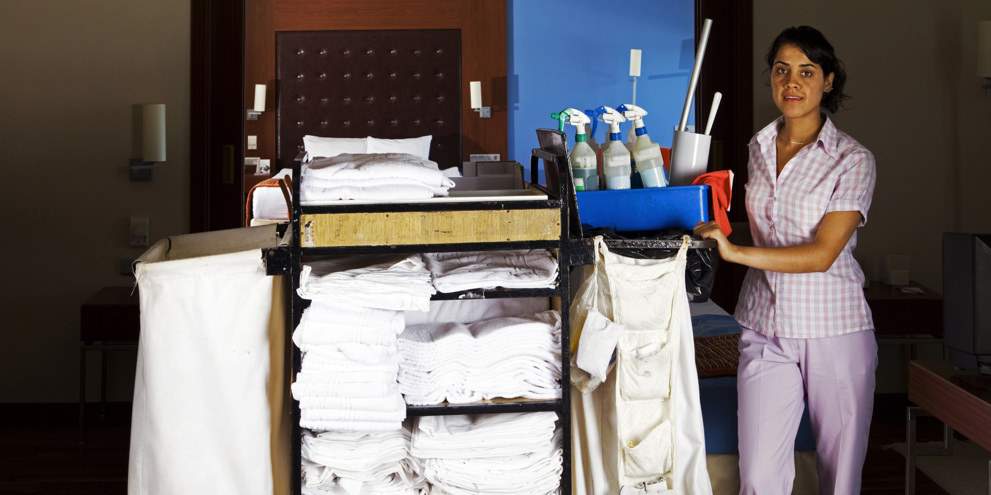 Sanecovision Department Housekeeping SanecoVision