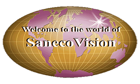 SanecoVision